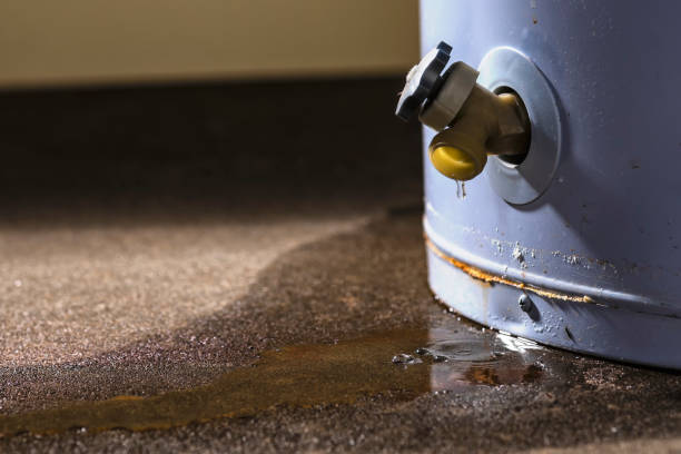 Best Flood restoration services  in Black River Falls, WI