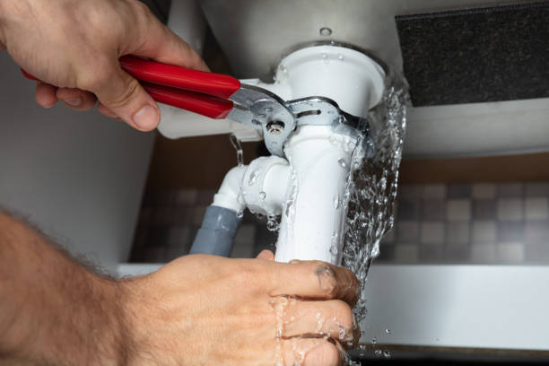 Best Water damage restoration near me  in Black River Falls, WI