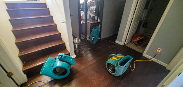 Best Basement water damage restoration  in Black River Falls, WI