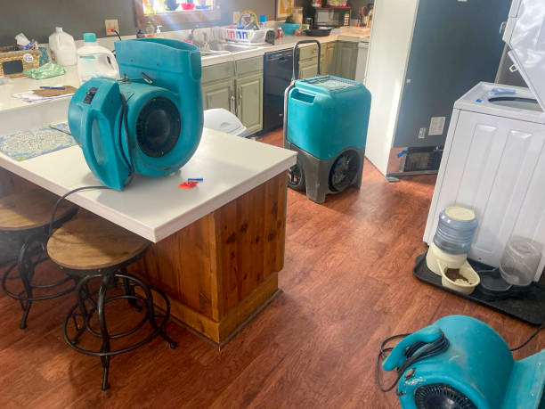 Best Water damage restoration near me  in Black River Falls, WI