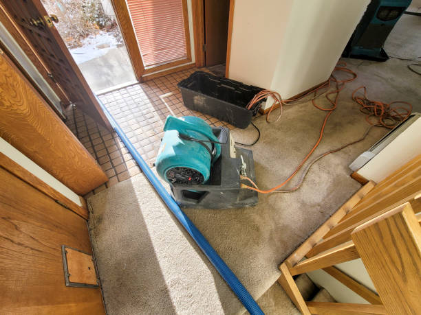 Trusted Black River Falls, WI Water damage restoration Experts