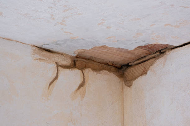 Best Sewage cleanup and water damage restoration  in Black River Falls, WI