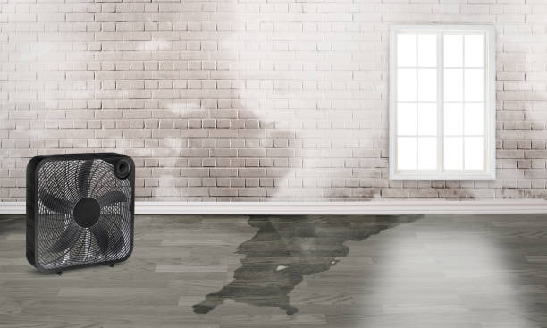 Professional Water damage restoration in Black River Falls, WI