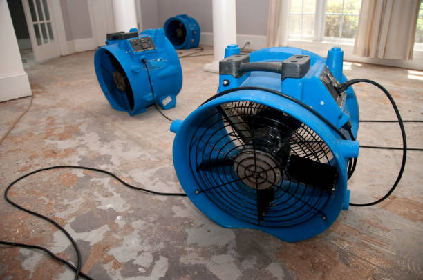 Best Emergency water damage restoration  in Black River Falls, WI