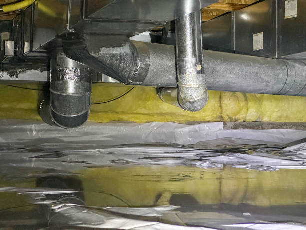 Best Flooded house restoration  in Black River Falls, WI