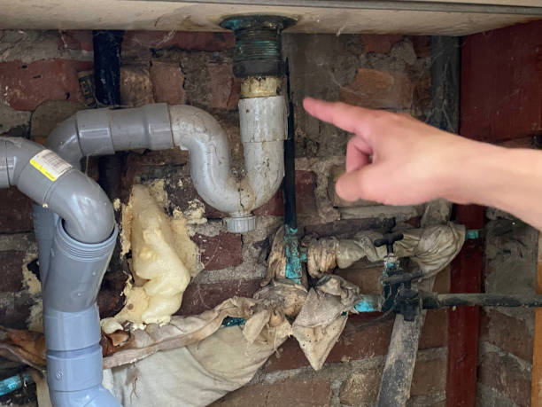 Best Carpet water damage restoration  in Black River Falls, WI