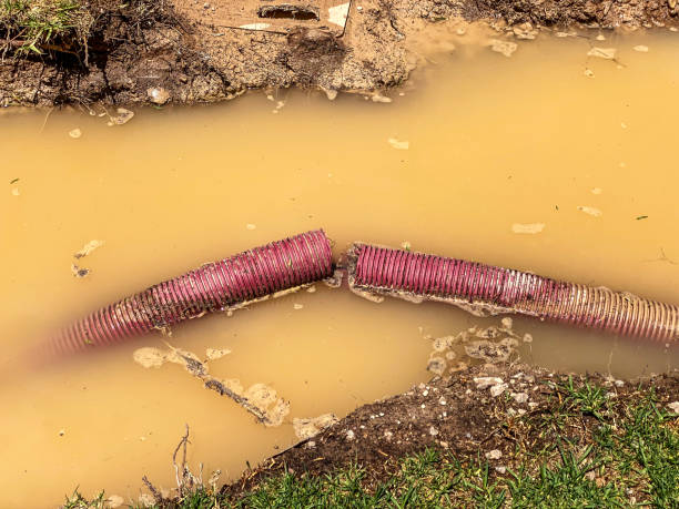 Best 24/7 water damage repair  in Black River Falls, WI